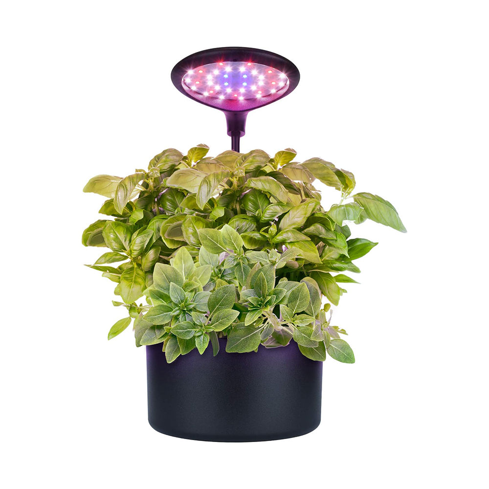 Hydroponics Growing System, Indoor Herb Garden Starter Kit with Grow L ...