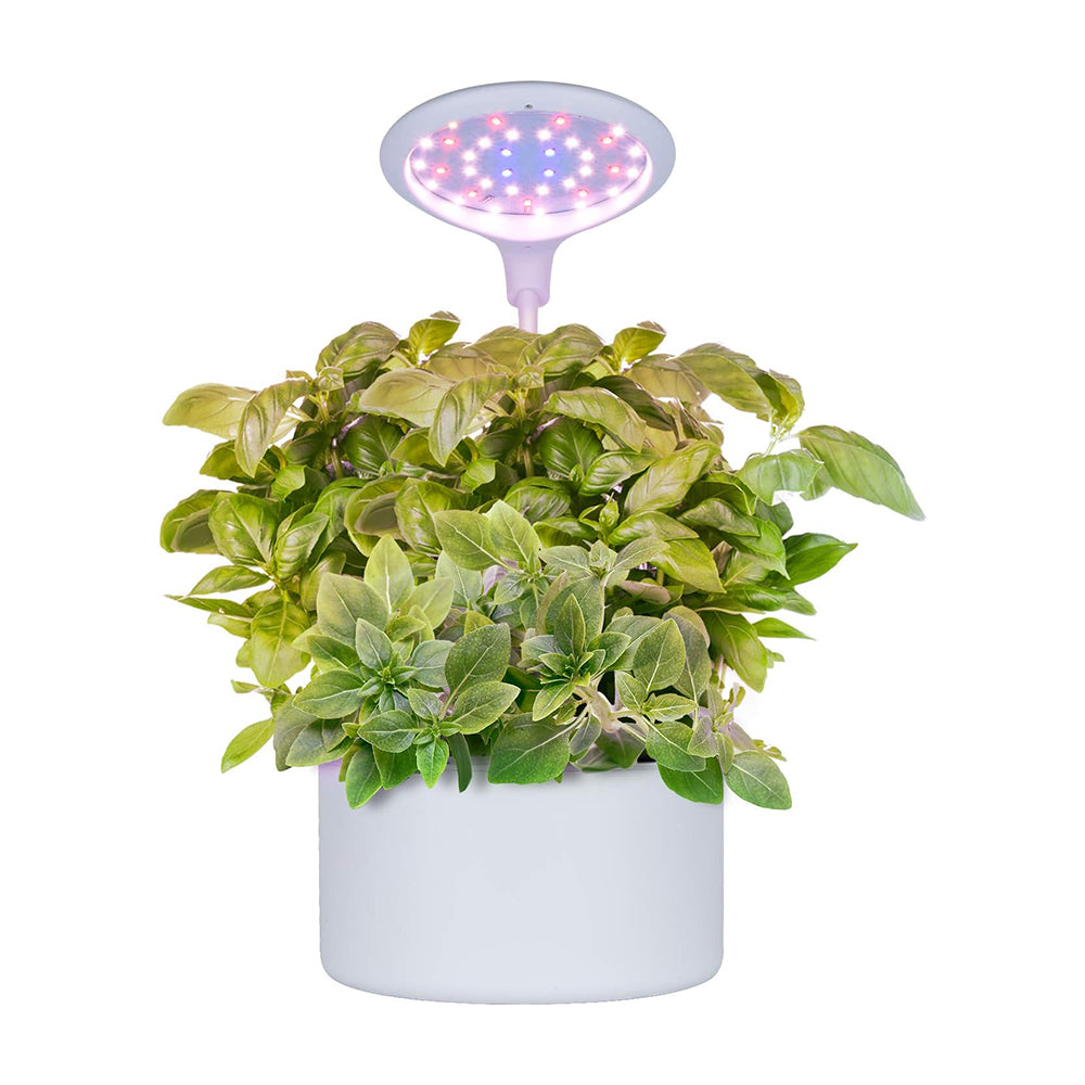 Hydroponics Growing System, Indoor Herb Garden Starter Kit with Grow L ...